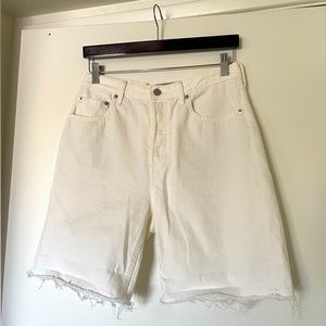 Everlane “The ‘90s Cheeky Denim” Short 28